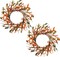 14 Inches 2 Pcs Fall Wreaths for Front Door(14"-2pcs)3"D x 14"W x 14"H